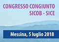 Immagine dell’evento CONGRESSO CONGIUNTO SICOB/SICE ATTUALITÀ IN CHIRURGIA MINI-INVASIVA E DELL’OBESITÀ