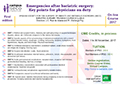 Immagine dell’evento Emergencies after bariatric surgery: Key points for physicians on duty