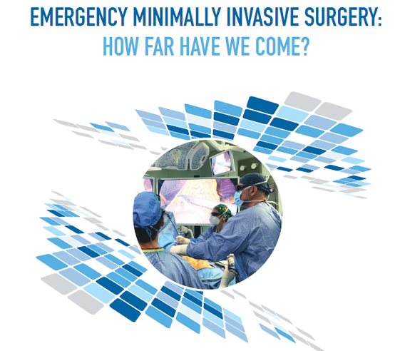 Immagine dell’evento EMERGENCY MINIMALLY INVASIVE SURGERY: HOW FAR HAVE WE COME?
