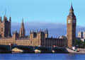 Immagine dell’evento International Symposium: The Future of Obesity Treatment